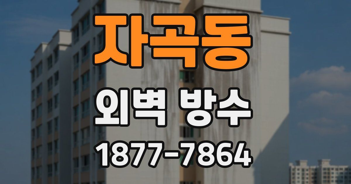 자곡동 외벽 방수