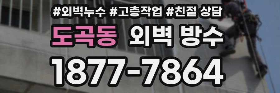 도곡동 외벽 방수