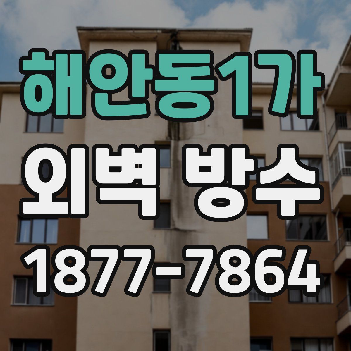 해안동1가 외벽 방수
