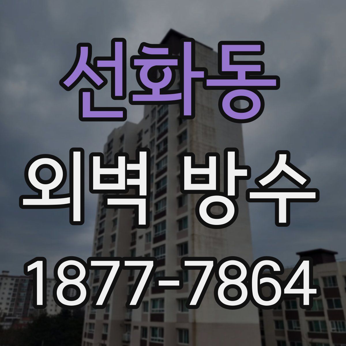 선화동 외벽 방수