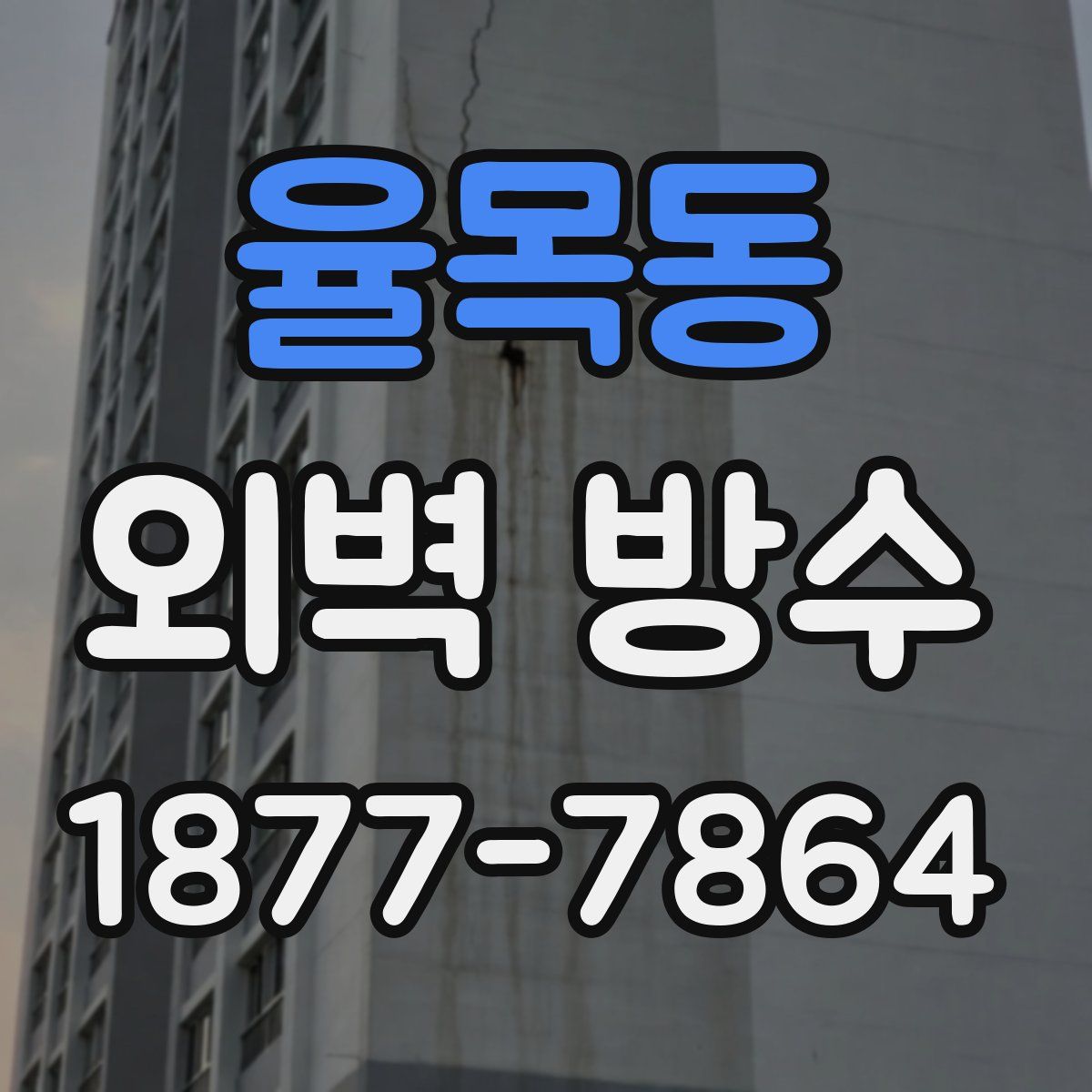 율목동 외벽 방수