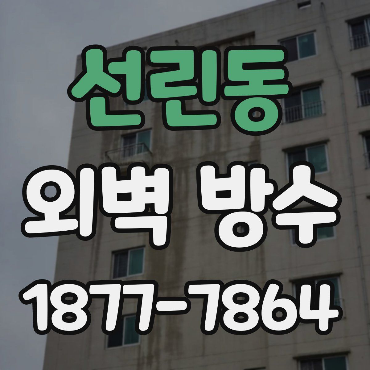 선린동 외벽 방수