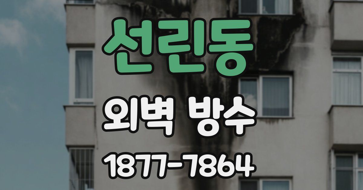 선린동 외벽 방수