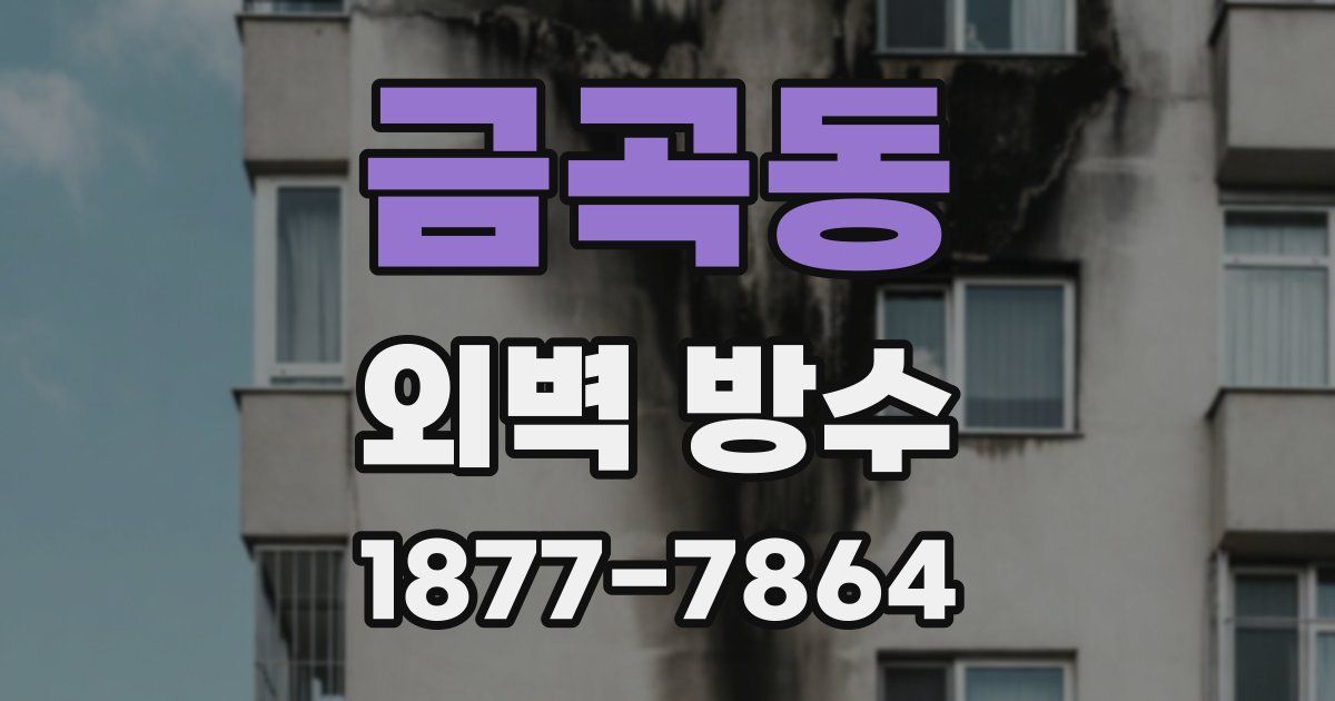 금곡동 외벽 방수