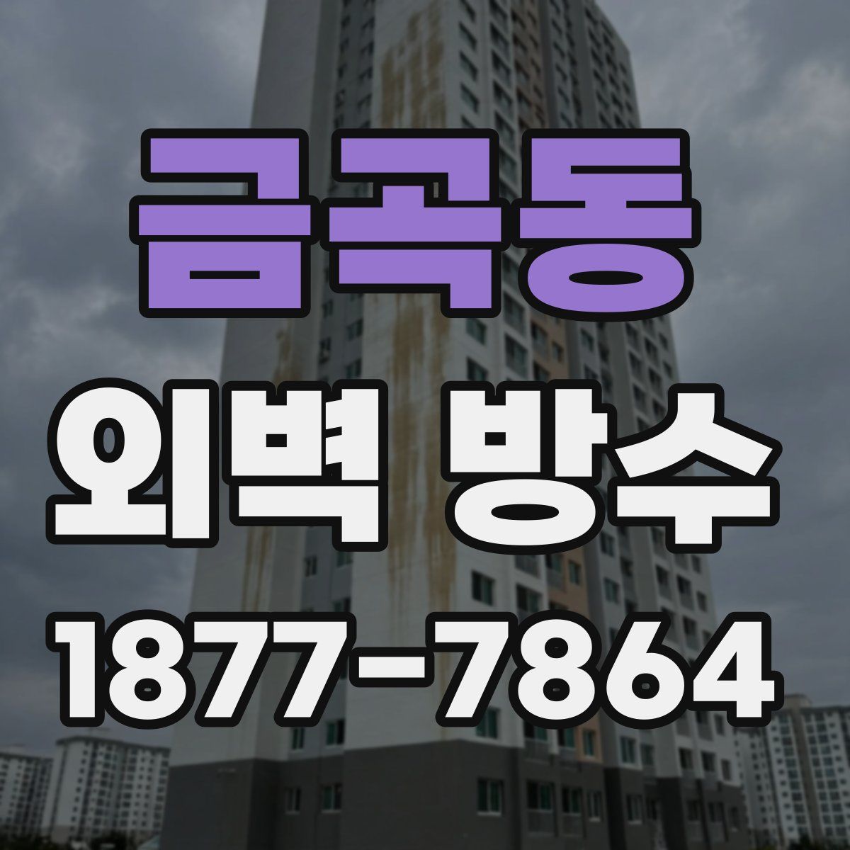 금곡동 외벽 방수