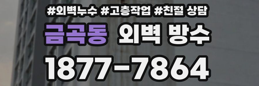 금곡동 외벽 방수