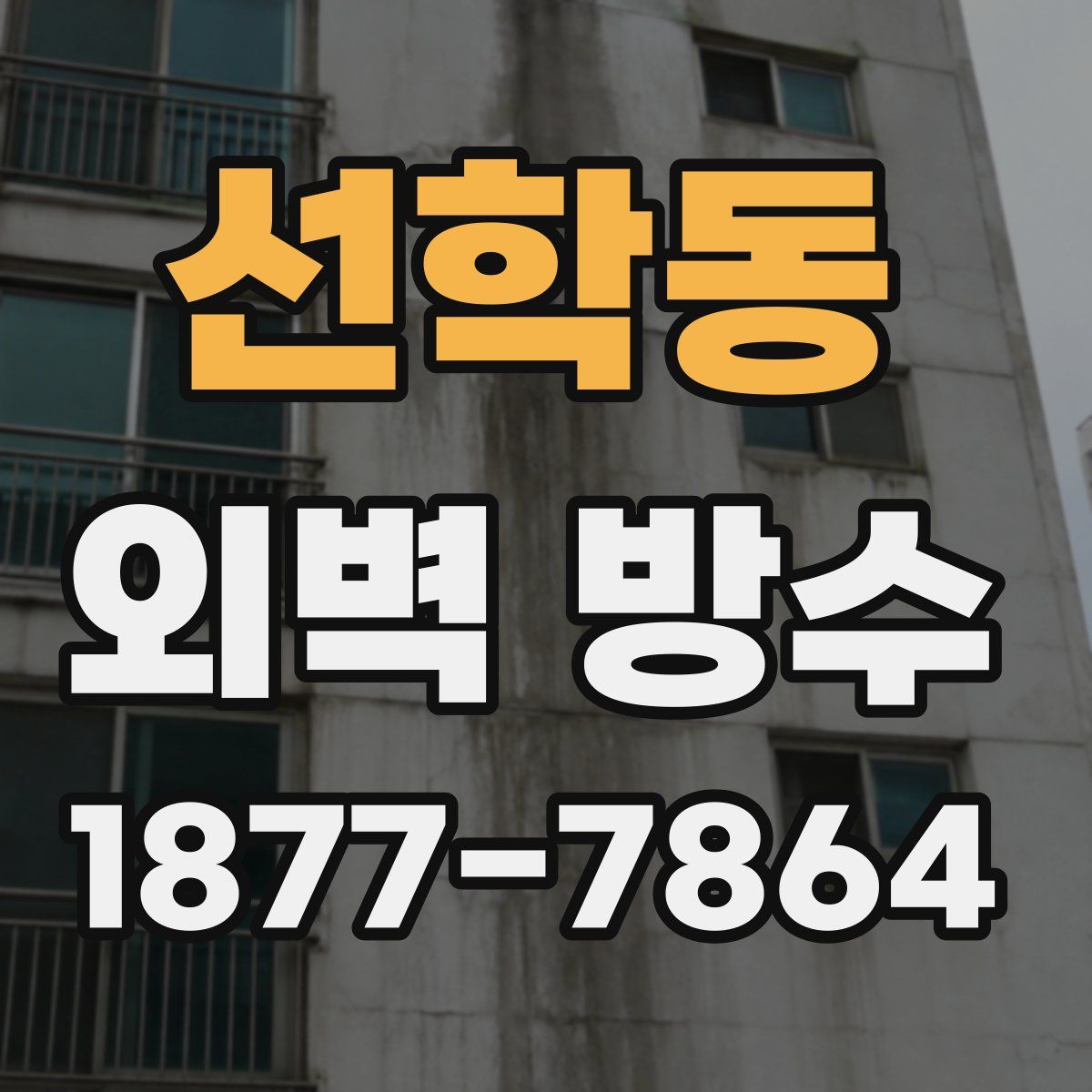 선학동 외벽 방수