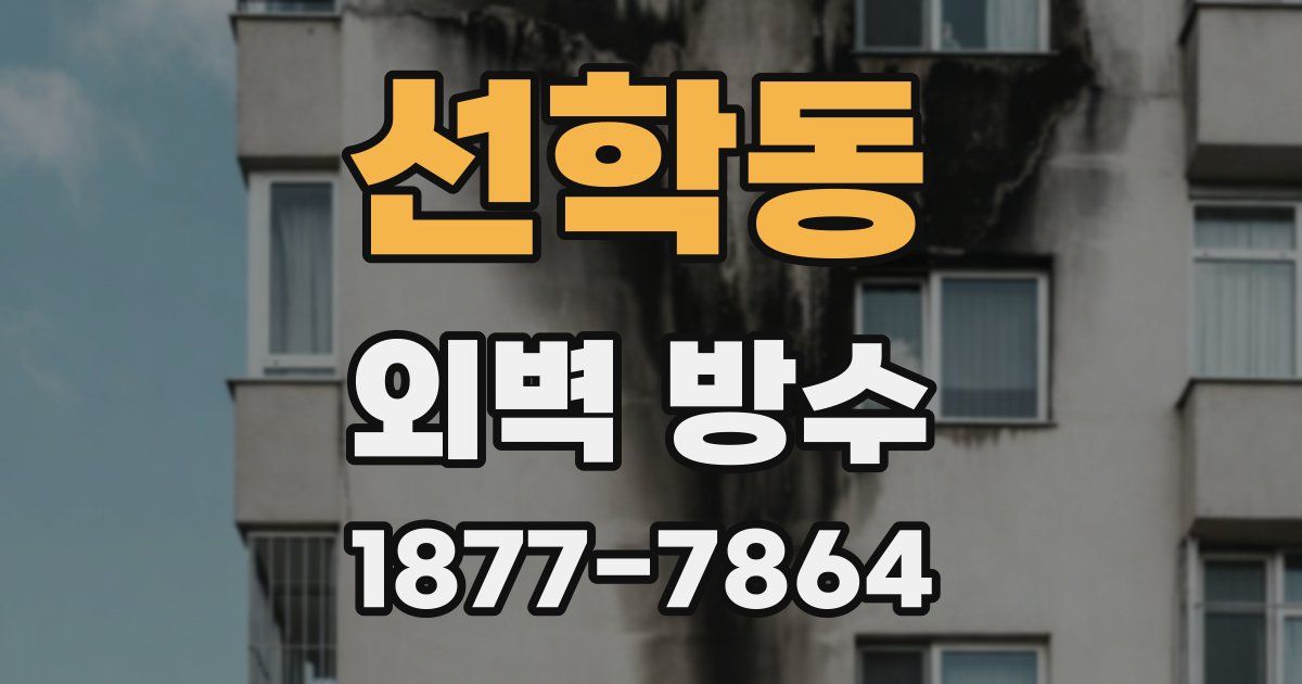 선학동 외벽 방수