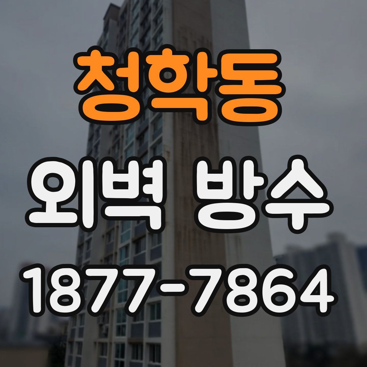 청학동 외벽 방수