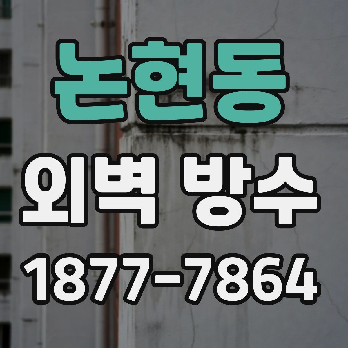 논현동 외벽 방수 시공 범위는 어디까지 봐야 할까