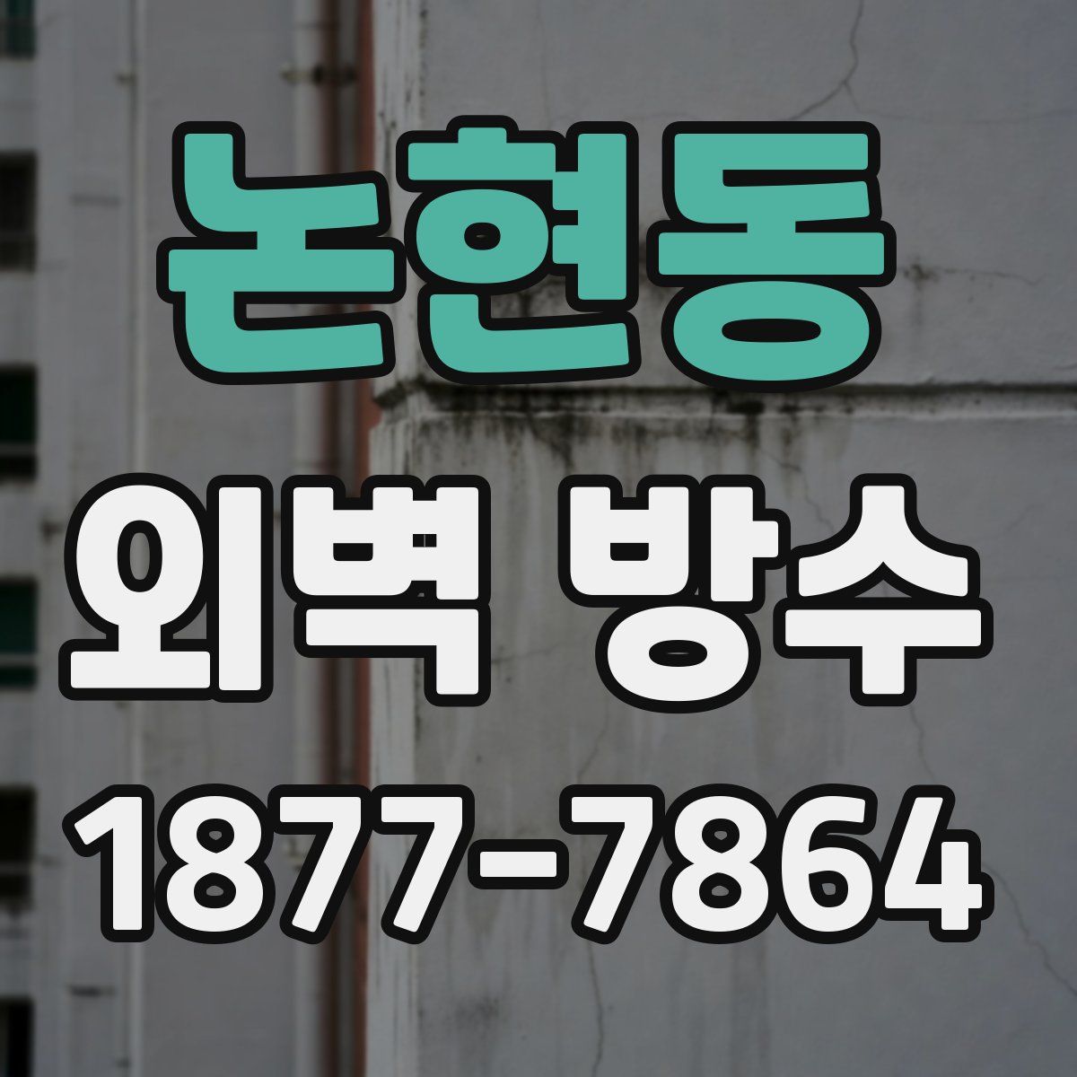 논현동 외벽 방수