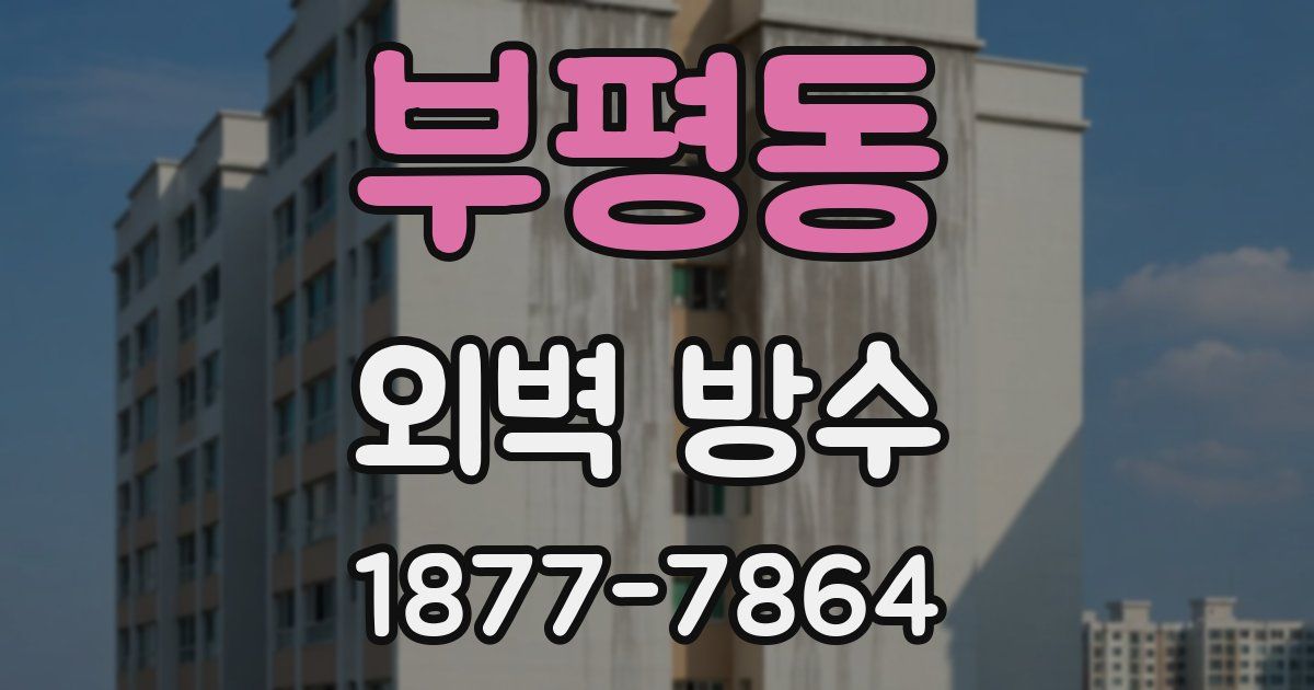 부평동 외벽 방수