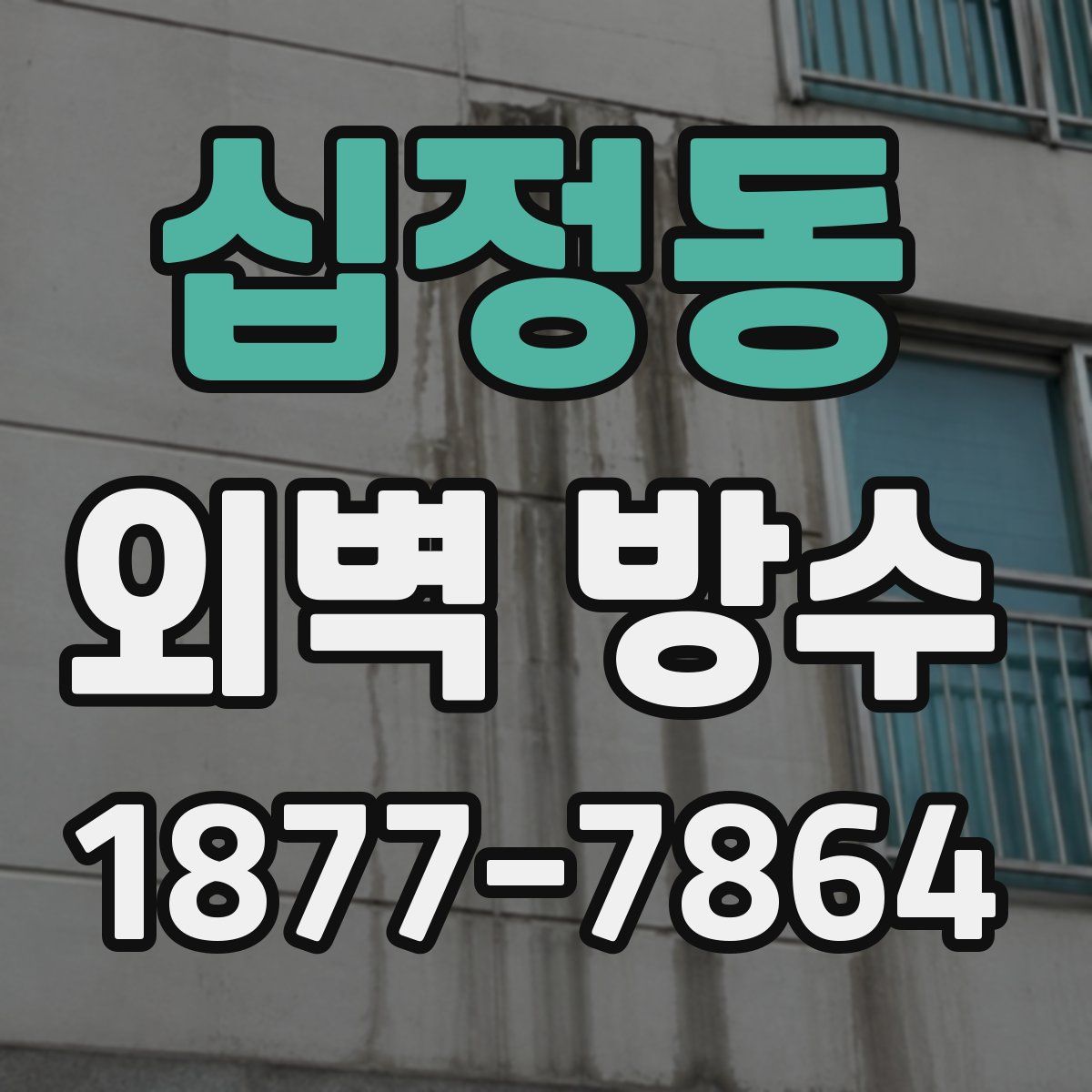 십정동 외벽 방수