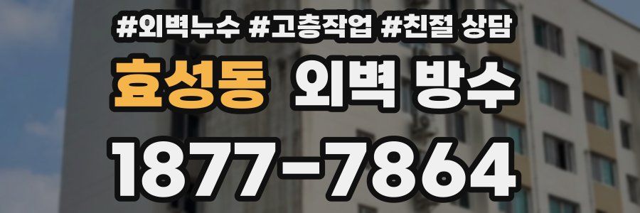 효성동 외벽 방수