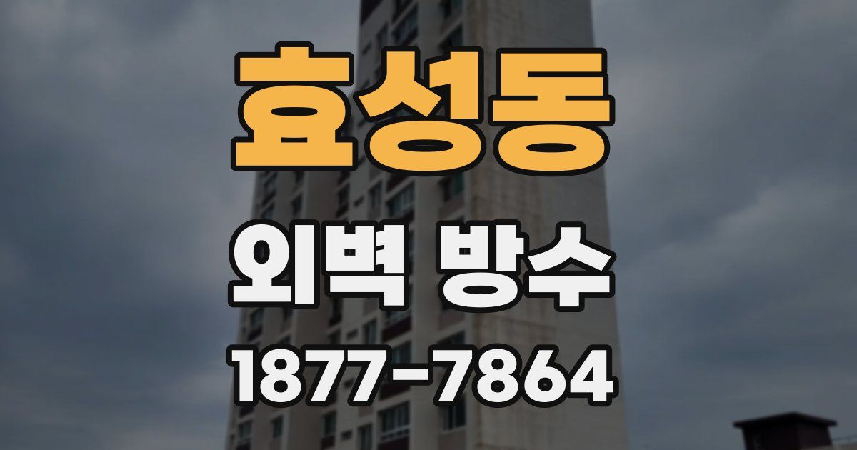 효성동 외벽 방수
