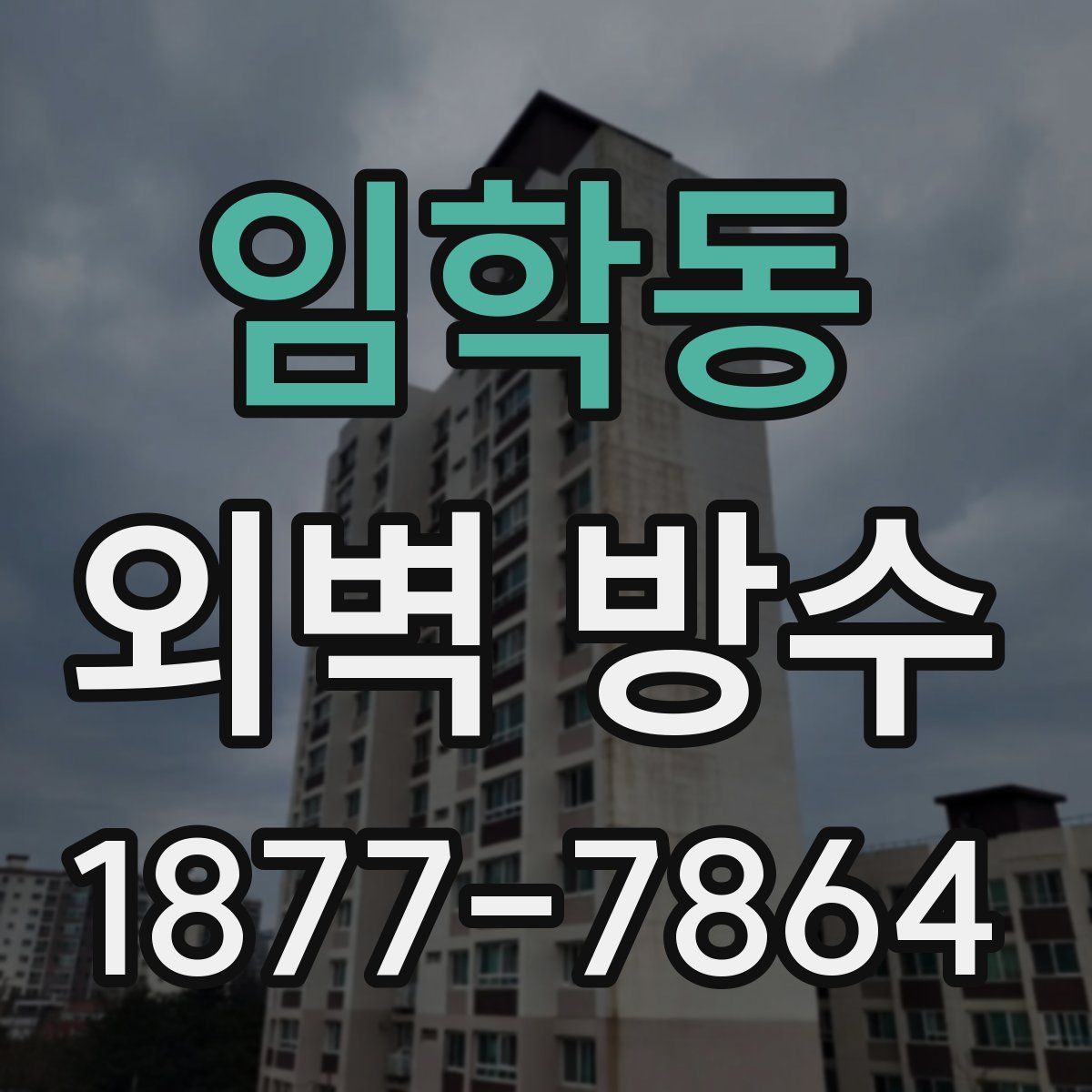 임학동 외벽 방수