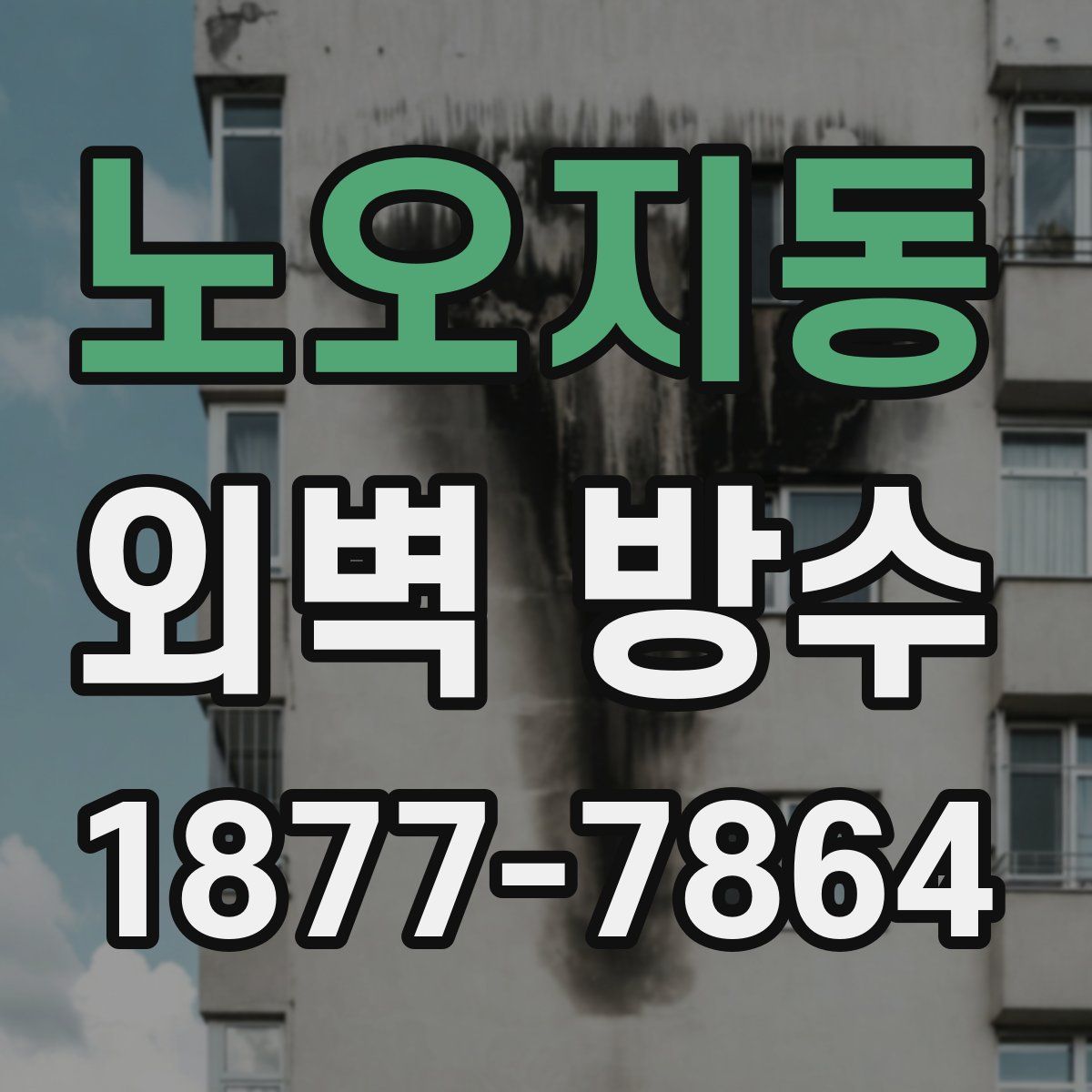 노오지동 외벽 방수