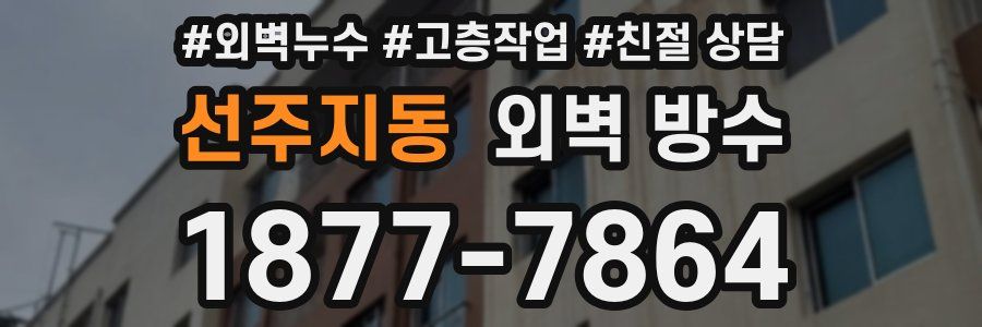 선주지동 외벽 방수