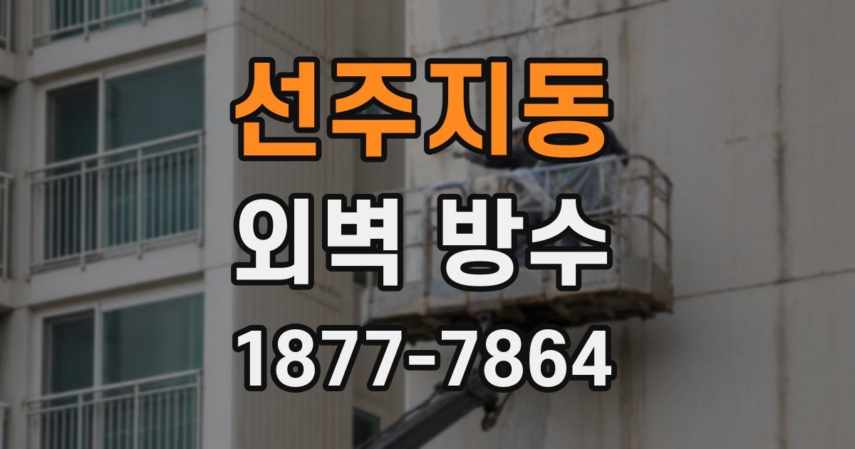 선주지동 외벽 방수