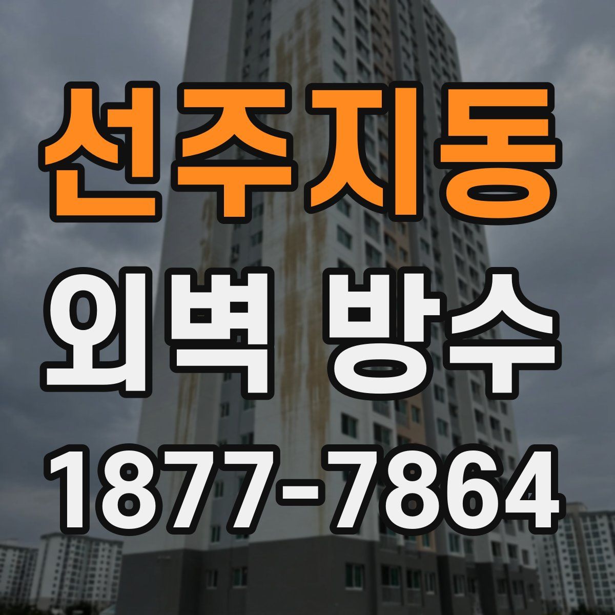 선주지동 외벽 방수