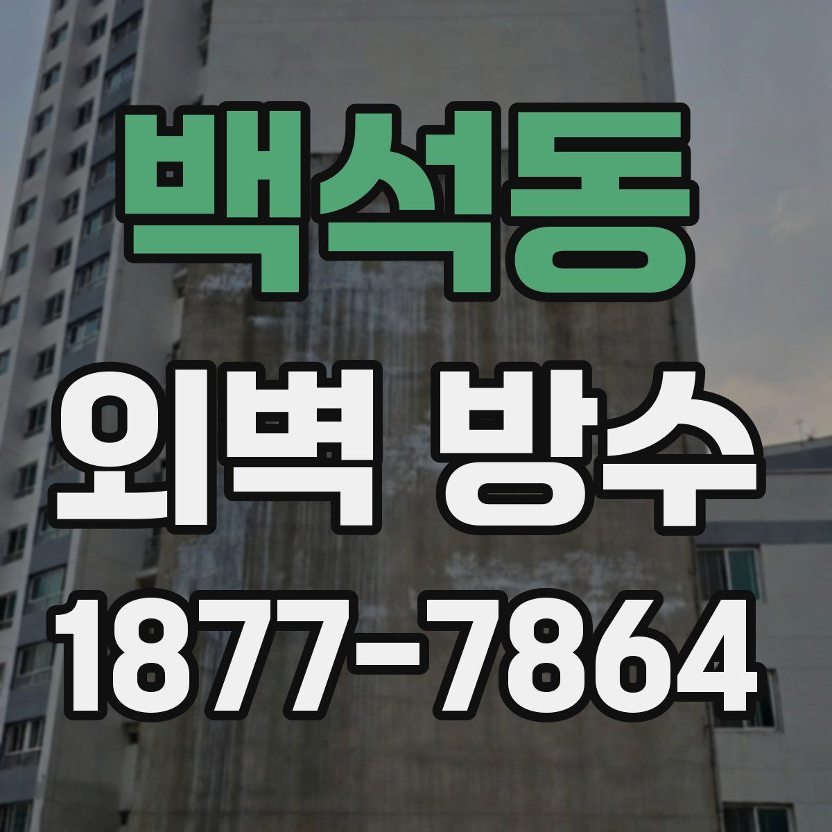 백석동 외벽 방수