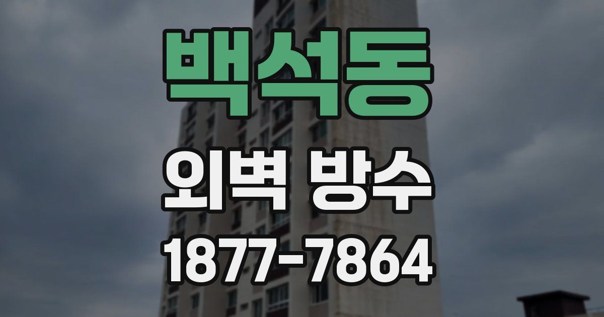 백석동 외벽 방수