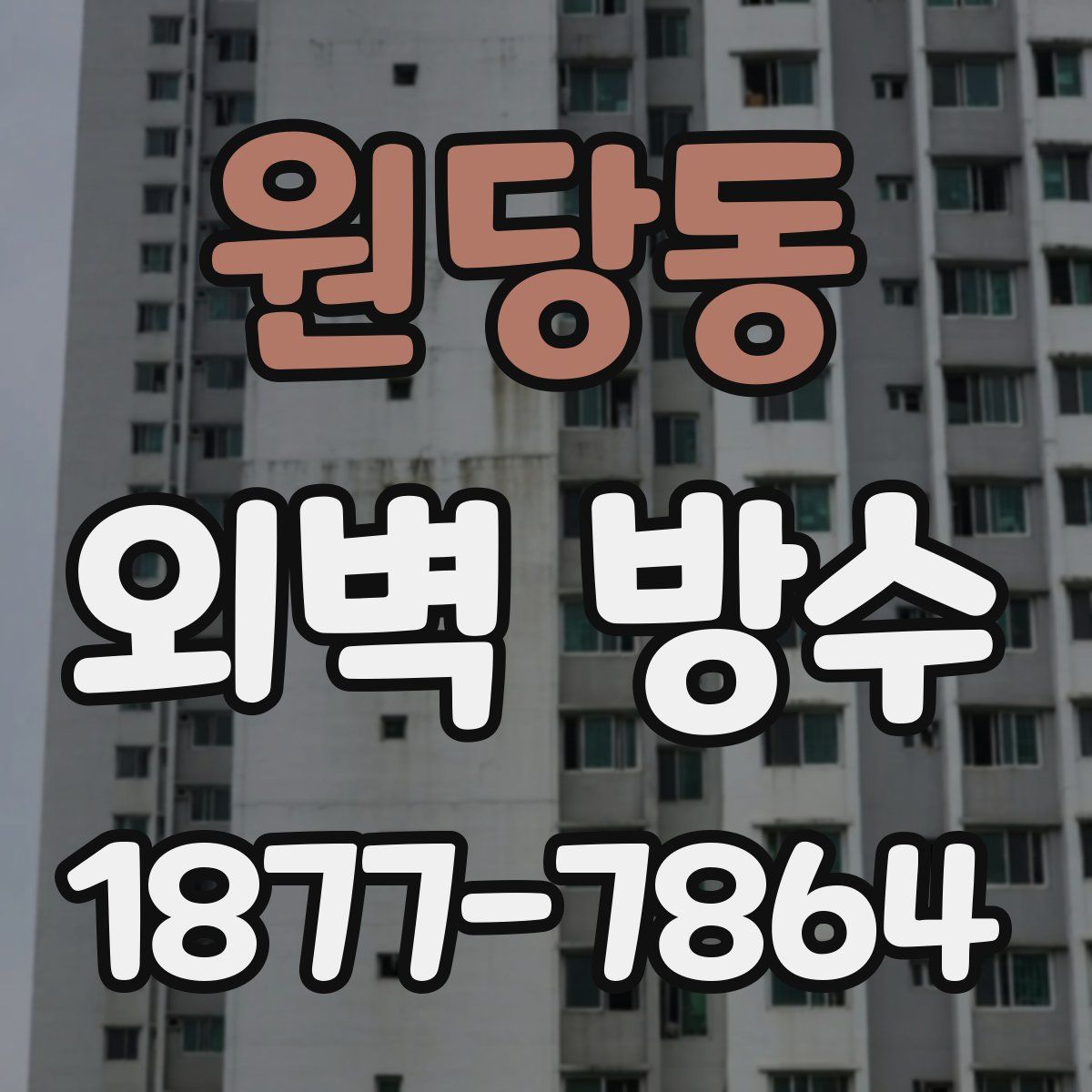 원당동 외벽 방수