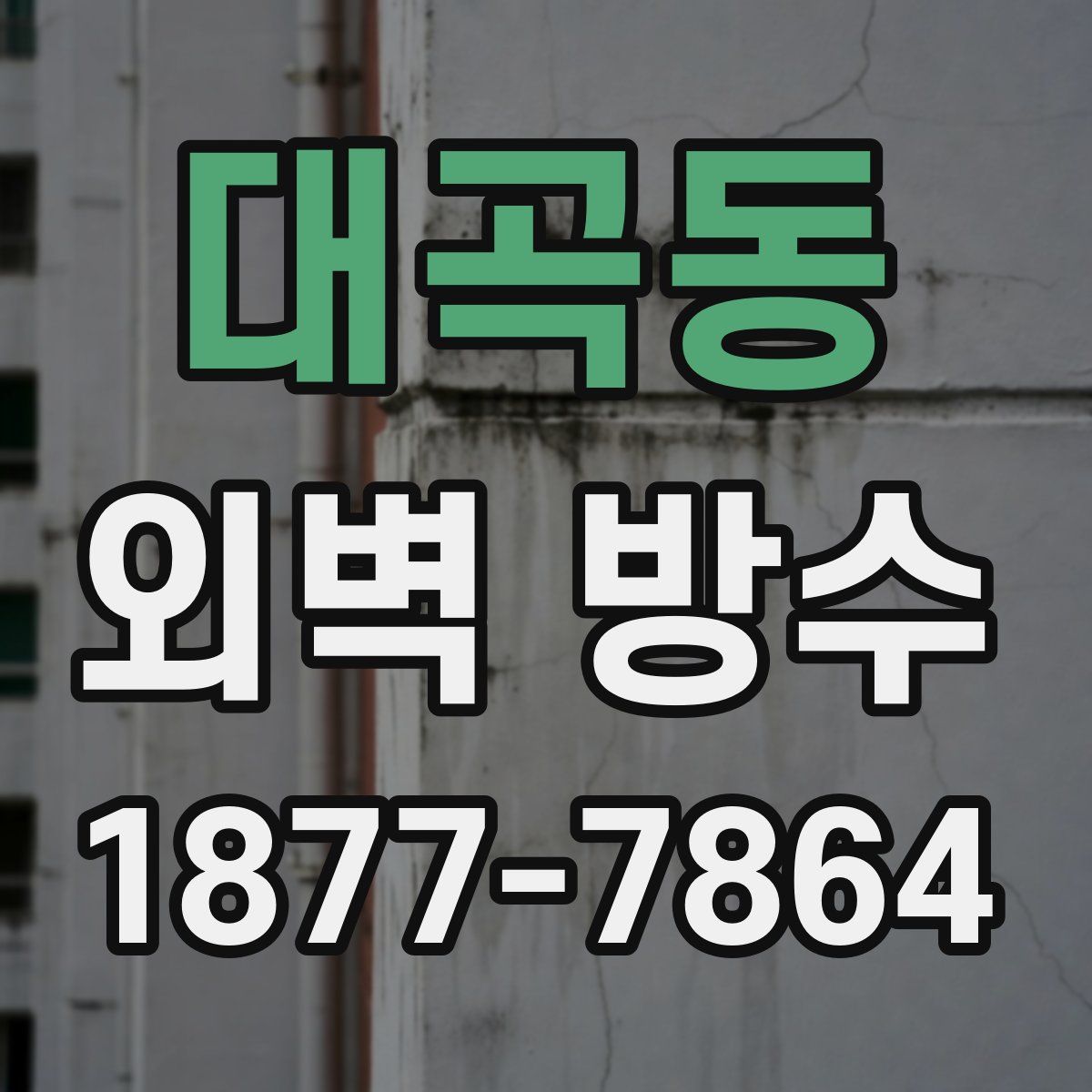 대곡동 외벽 방수