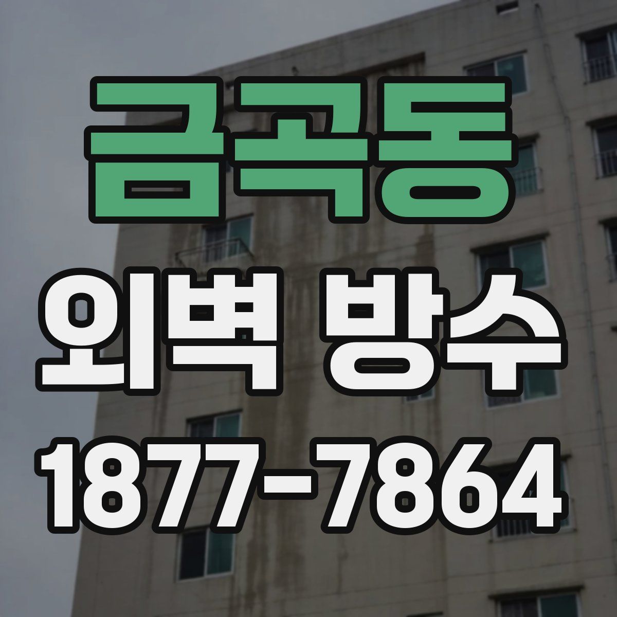 금곡동 외벽 방수