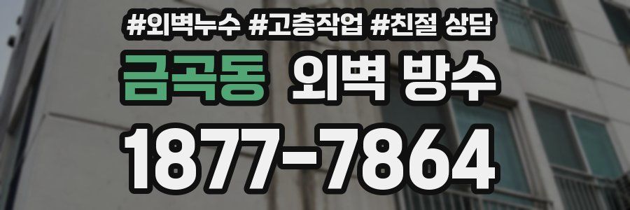 금곡동 외벽 방수