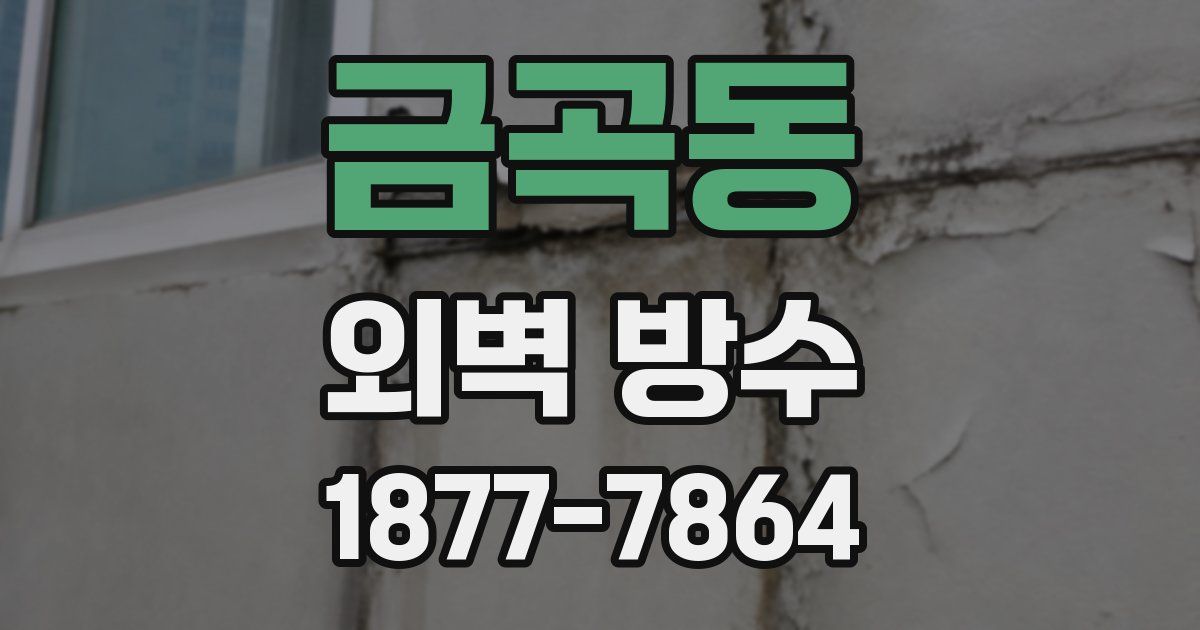금곡동 외벽 방수