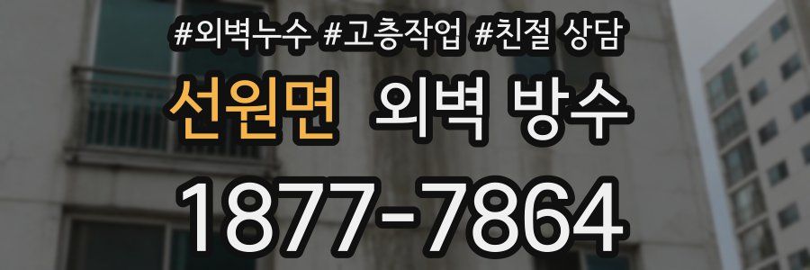 선원면 외벽 방수