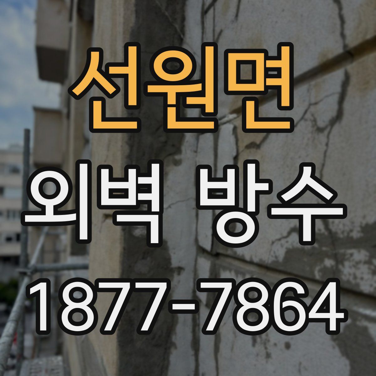 선원면 외벽 방수