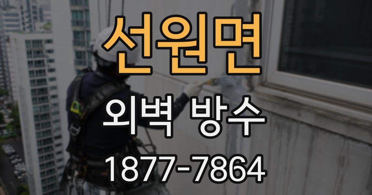 선원면 외벽 방수