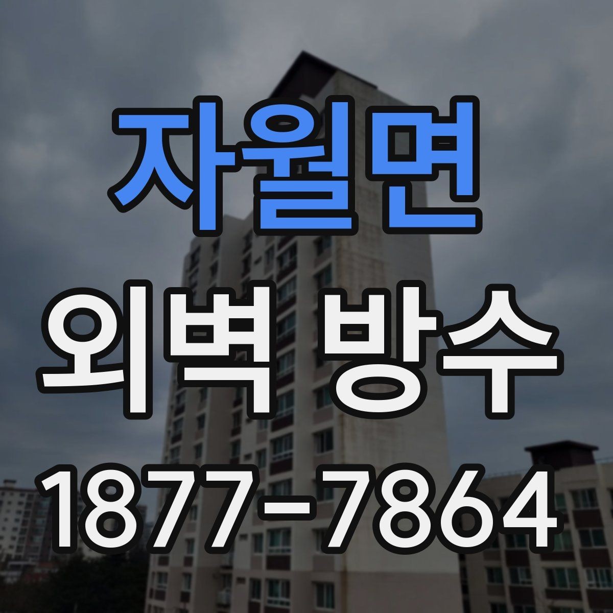 자월면 외벽 방수 점검 시 놓치기 쉬운 모서리와 이음부