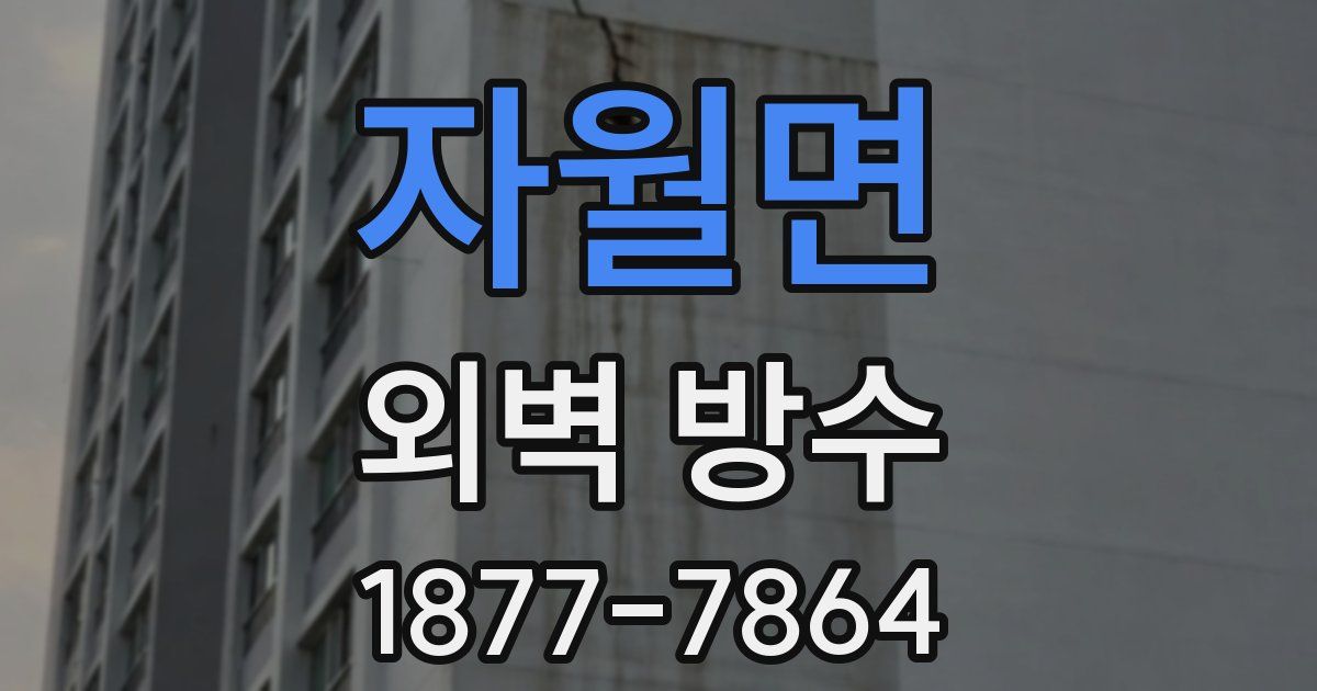 자월면 외벽 방수