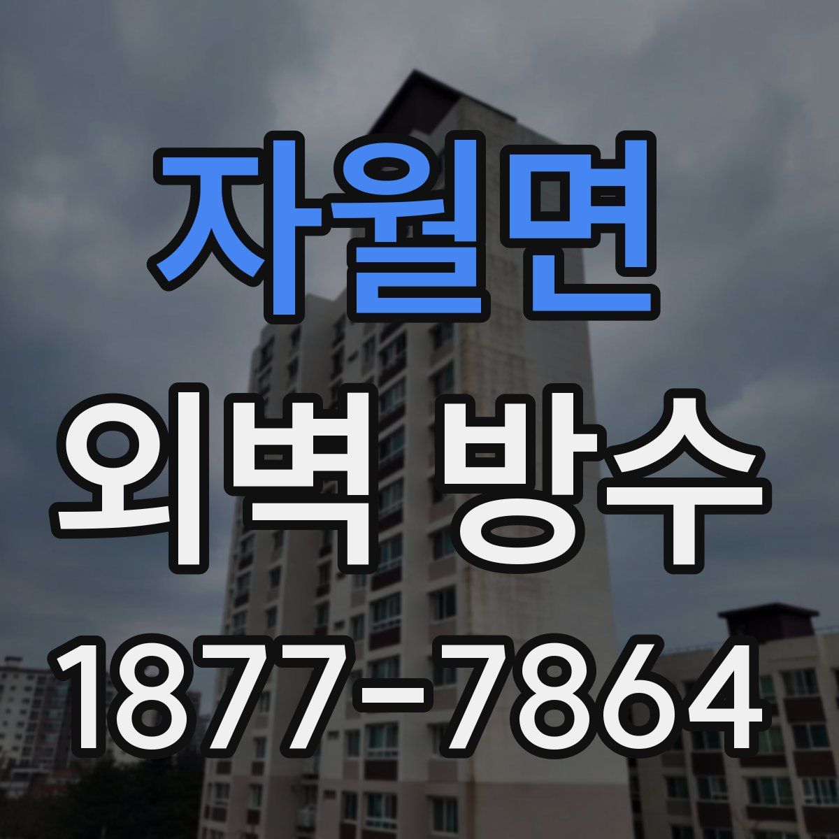 자월면 외벽 방수