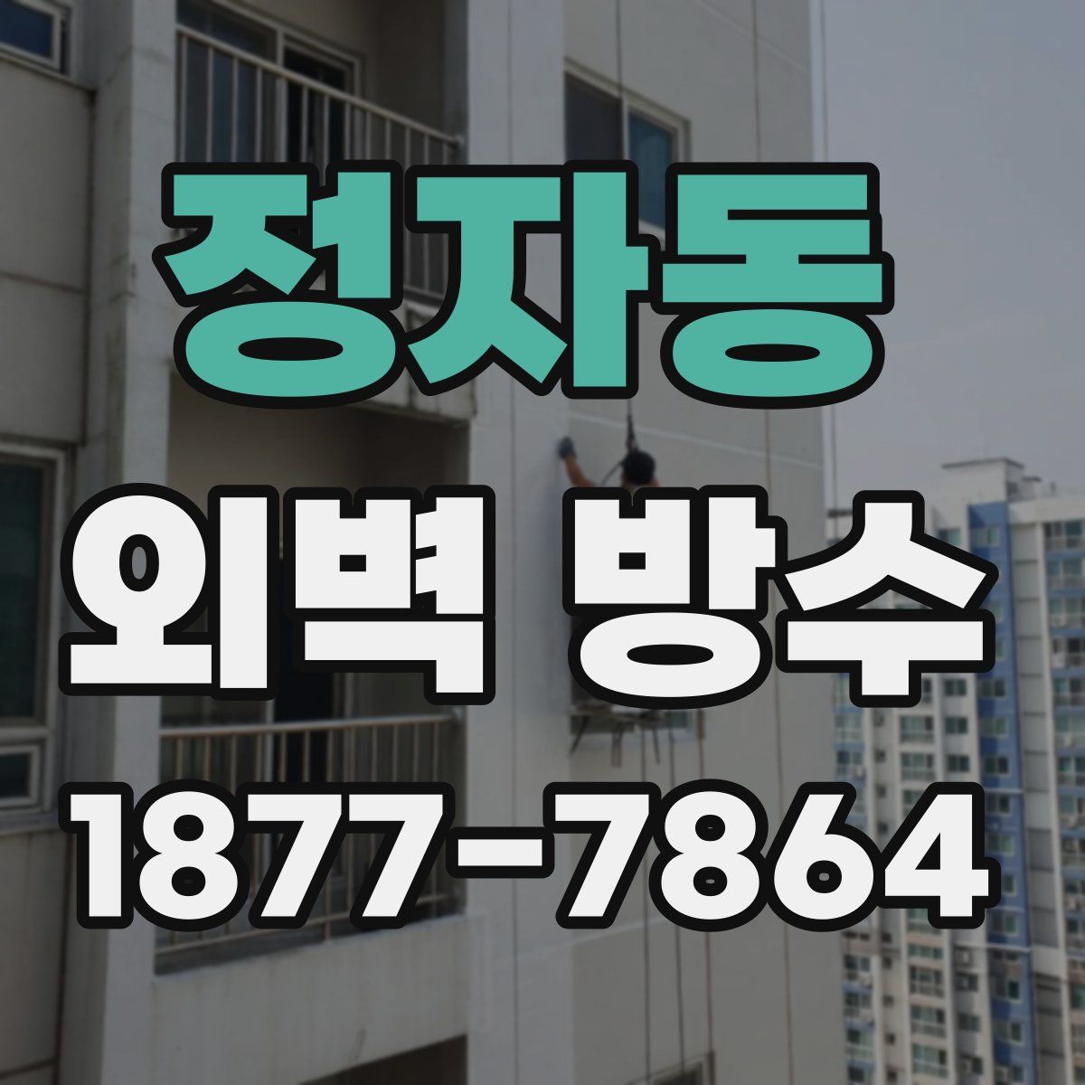 정자동 외벽 방수
