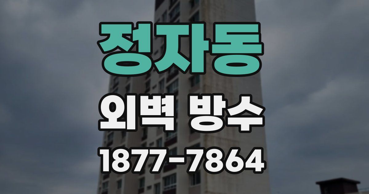 정자동 외벽 방수