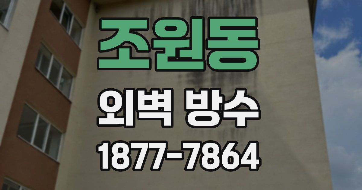 조원동 외벽 방수