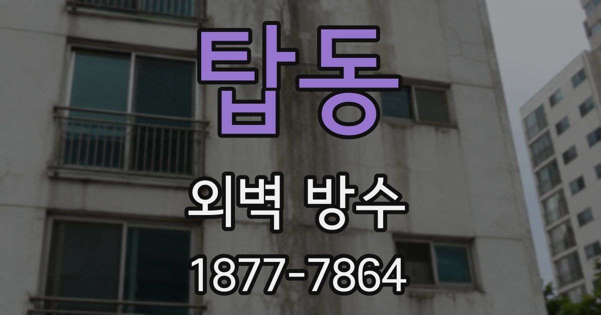 탑동 외벽 방수