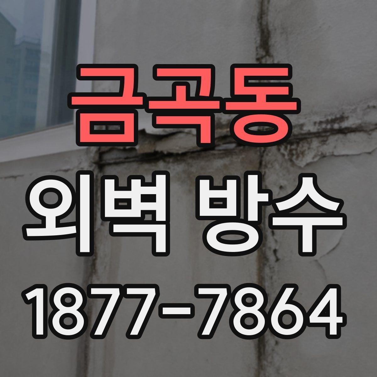금곡동 외벽 방수 공사 전 계약서에서 볼 내용
