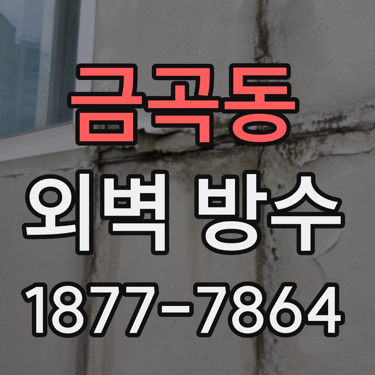 금곡동 외벽 방수