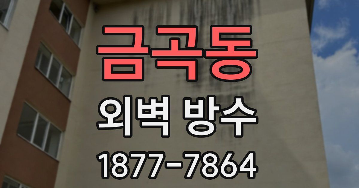 금곡동 외벽 방수