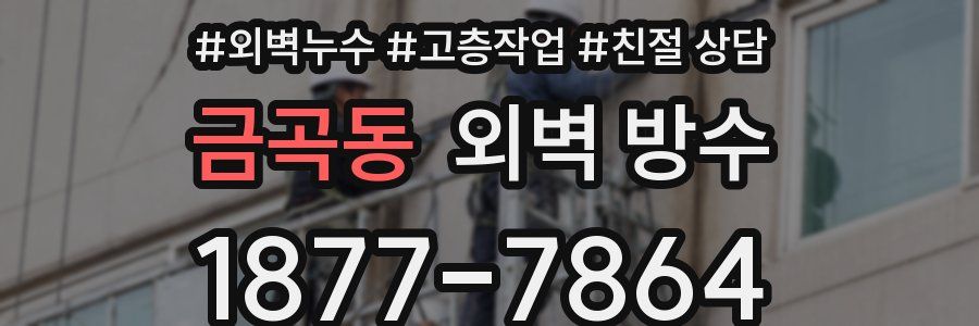금곡동 외벽 방수