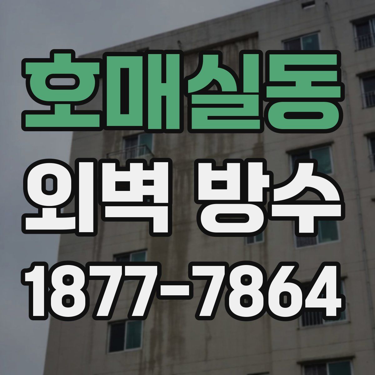 호매실동 외벽 방수