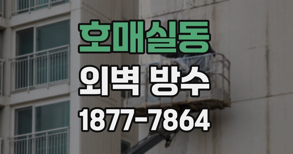 호매실동 외벽 방수