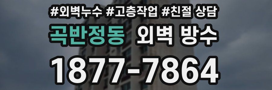 곡반정동 외벽 방수