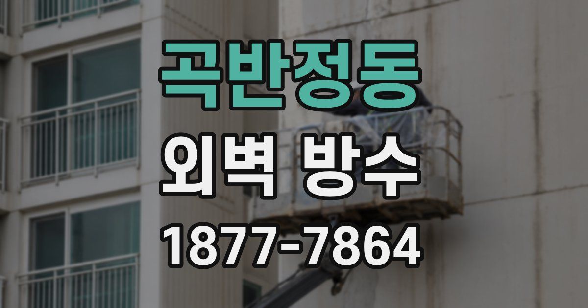 곡반정동 외벽 방수