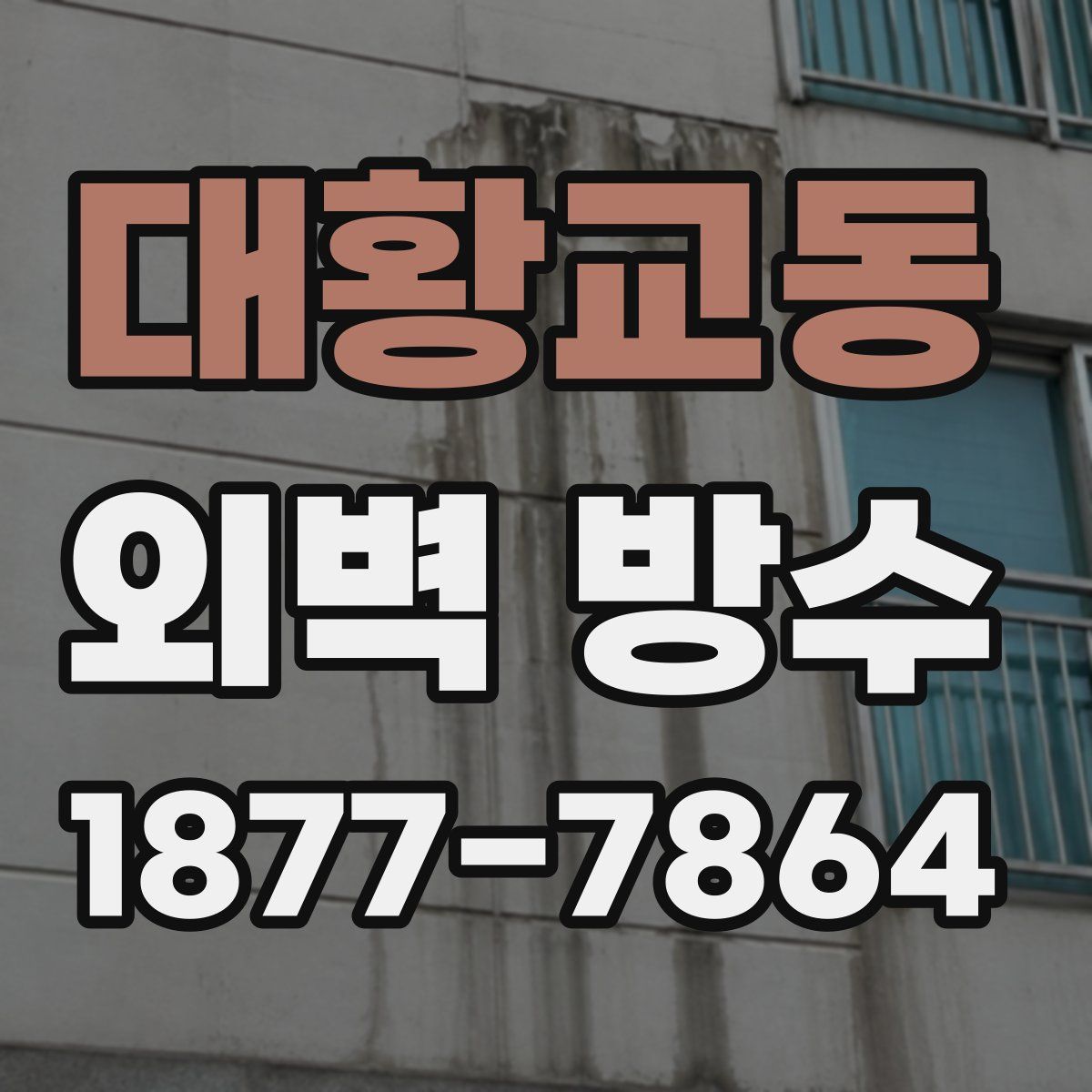 대황교동 외벽 방수